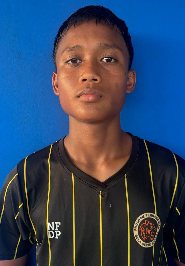 MUHAMMAD DARWISY BIN SUHAIMI