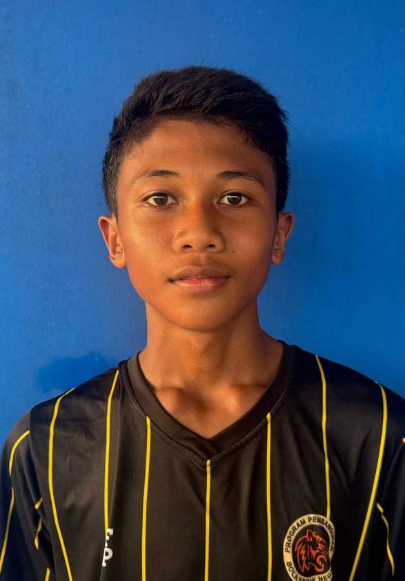 MUHAMMAD EMIL ADANNY BIN MOHD ELHAM